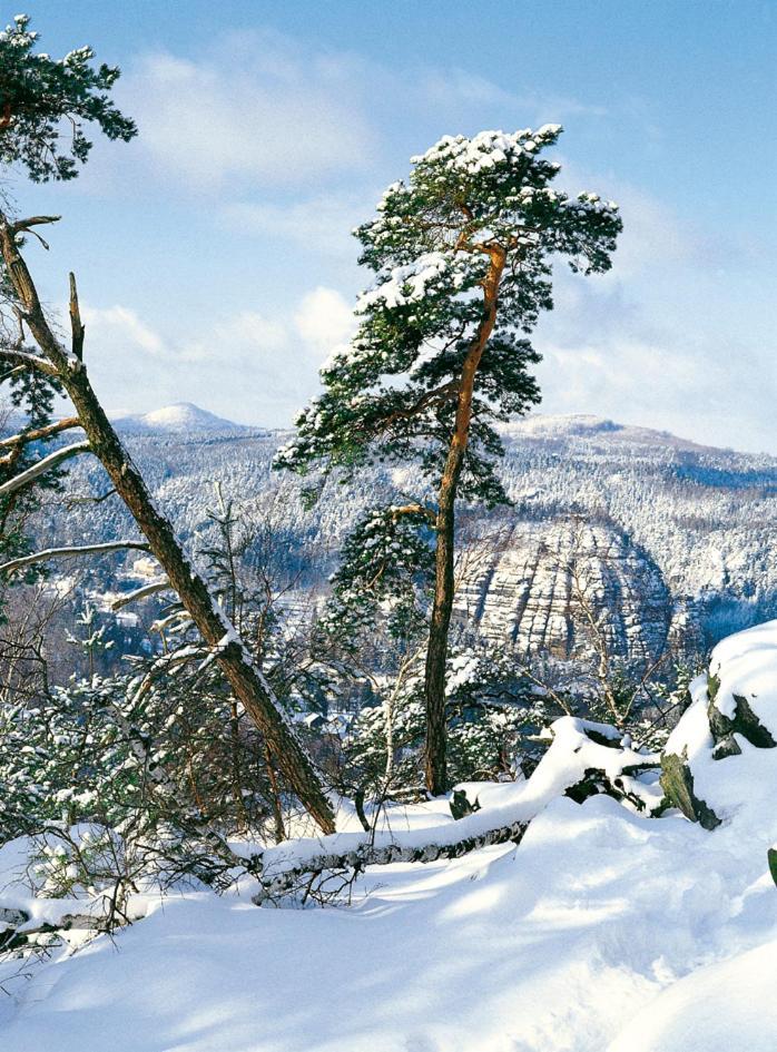 Dammschenke Gasthof & Hotel คัวร์ออร์ทโยนส์ดอร์ฟ ภายนอก รูปภาพ