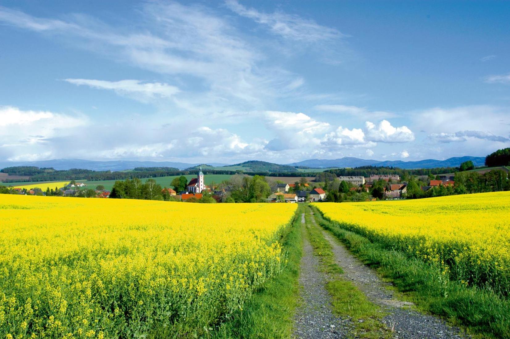 Dammschenke Gasthof & Hotel คัวร์ออร์ทโยนส์ดอร์ฟ ภายนอก รูปภาพ