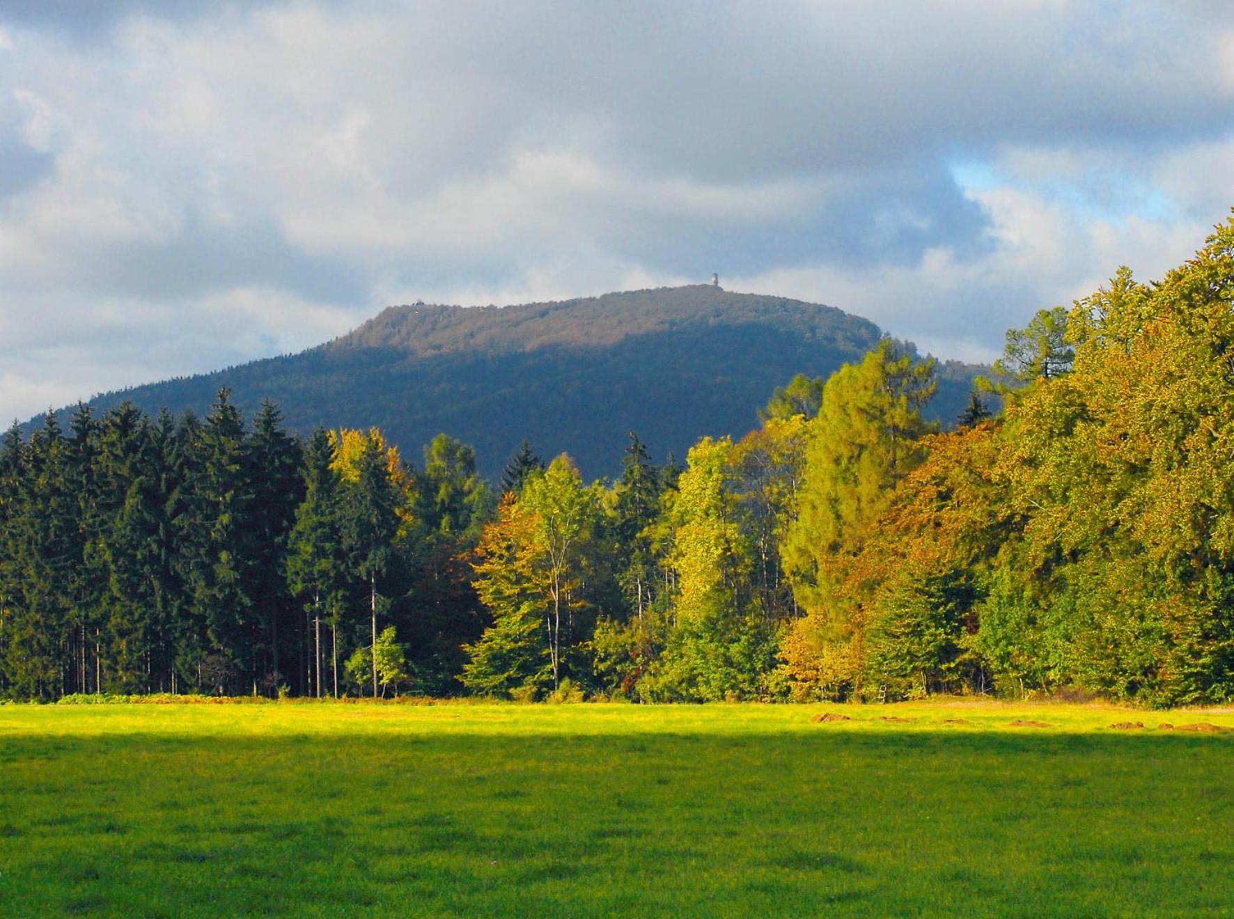 Dammschenke Gasthof & Hotel คัวร์ออร์ทโยนส์ดอร์ฟ ภายนอก รูปภาพ